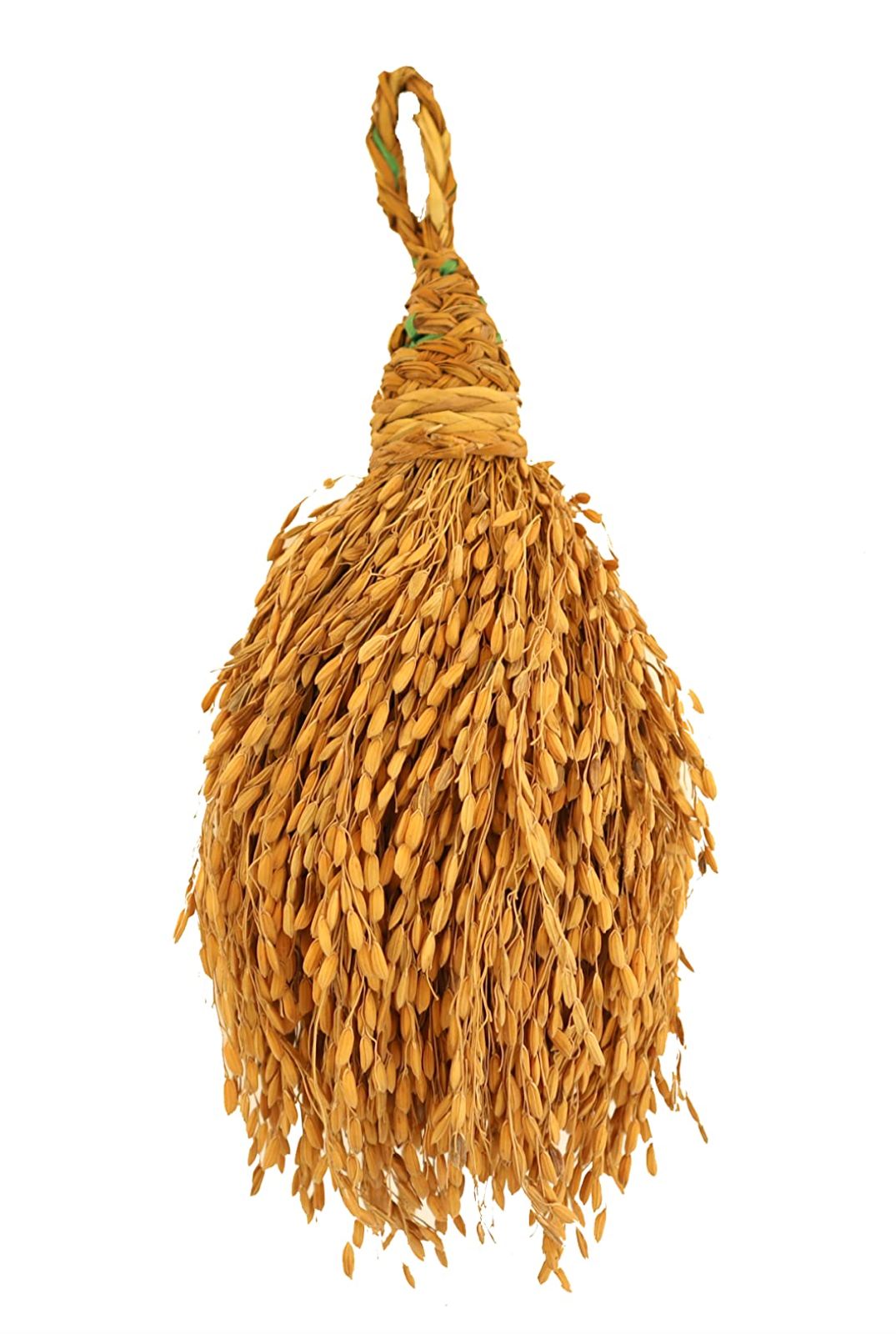 /storage/photos/1/GreenWorks/WhatsApp Image 2025-07-04 at 00.08.58.jpeg